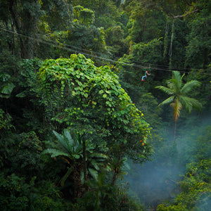 Outback GlamSwag - The Daintree