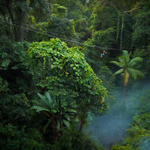 Outback GlamSwag - The Daintree