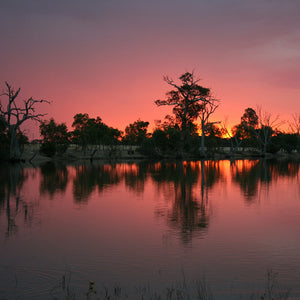 Outback GlamSwag - The Wimmera